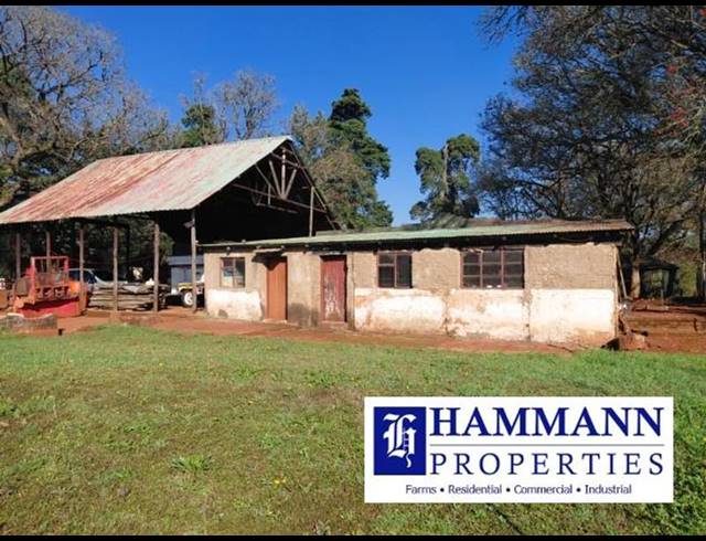 FARM FOR SALE IN LOUIS TRICHARDT RURAL